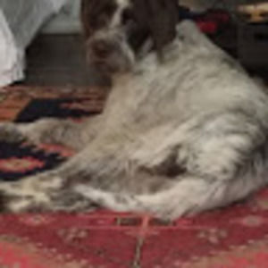 Meet your Posher, Vincent